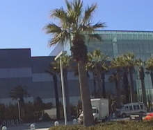 Sony Inc